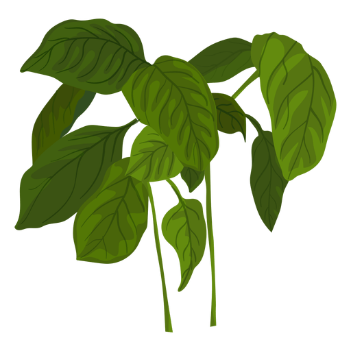 Vitamins & Dietary Supplements