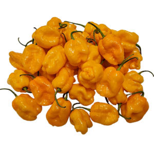 Bonnet Pepper