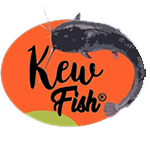 kew fish
