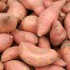 Sweet Potato