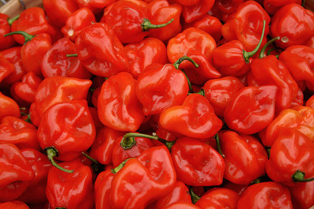 Bonnet Pepper