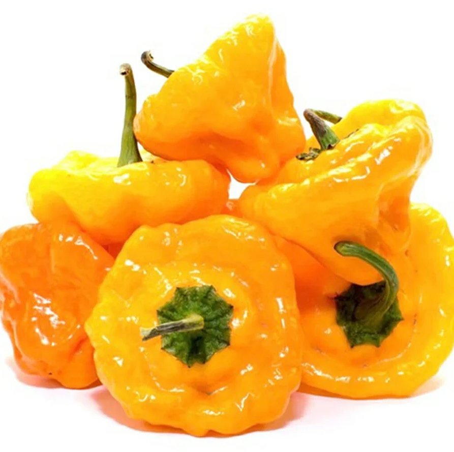 yellow pepper