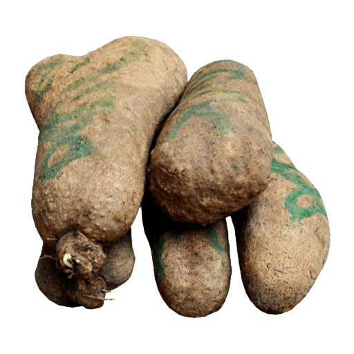 yam