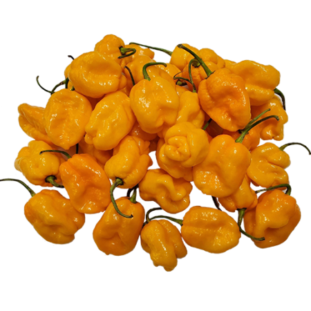 Bonnet Pepper