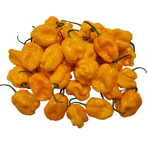 Bonnet Pepper