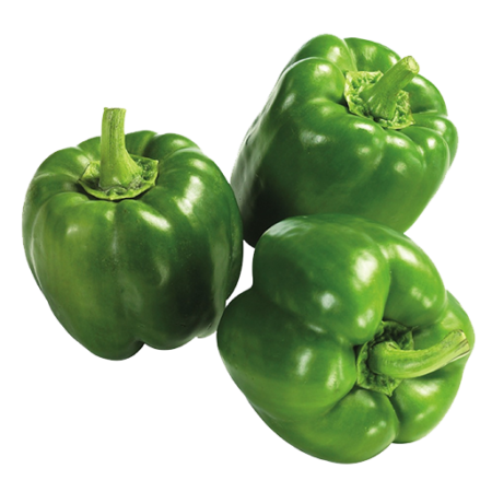 Green bell pepper