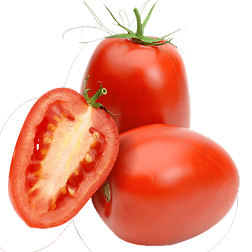 Roma Tomato