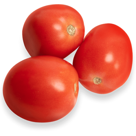 Roma Tomato