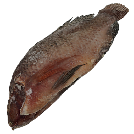 Tilapia Fish (Large)